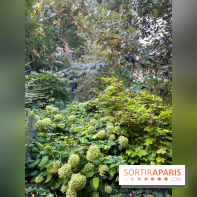 Parc de la butte du chapeau rouge - image00780