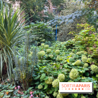 Parc de la butte du chapeau rouge - image00781