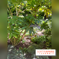 Parc de la butte du chapeau rouge - image00784