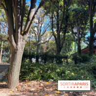 Parc de la butte du chapeau rouge - image00777