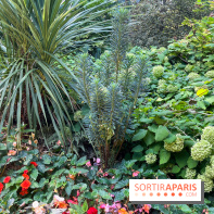 Parc de la butte du chapeau rouge - image00778