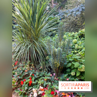 Parc de la butte du chapeau rouge - image00779