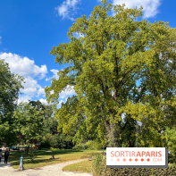 Parc de la butte du chapeau rouge
