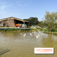 La Ferme des 4 Etoiles à Auffargis - image00048
