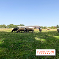 La Ferme des 4 Etoiles à Auffargis - image00046