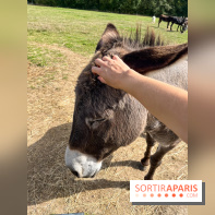 La Ferme des 4 Etoiles à Auffargis - image00034