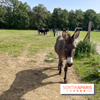 La Ferme des 4 Etoiles à Auffargis - image00036