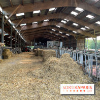 La Ferme des 4 Etoiles à Auffargis - image00019