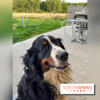 La Ferme des 4 Etoiles à Auffargis - image00006