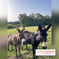 La Ferme des 4 Etoiles à Auffargis - image00001