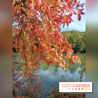 Les bords de Marne