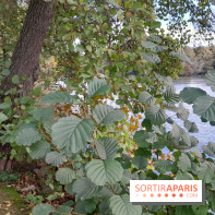 Les bords de Marne