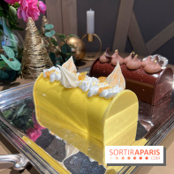 Hugo & Victor - Bûche de Noël 2023 citron-verveine