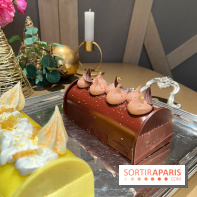 Hugo & Victor - Bûche de Noël 2023 chocolat