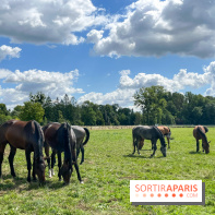Un week-end le long du Loing, de Montigny-sur-Loing à Thomery