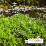 Les jardins japonais de Favières - photos