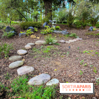 Les jardins japonais de Favières - photos - IMG 1793