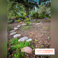 Les jardins japonais de Favières - photos - IMG 1795