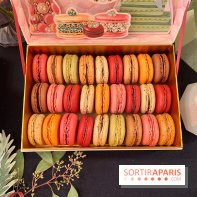 Ladurée - Bûches de Noël 2023 - Macarons