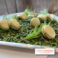 Dalloyau - Macarons de Noël 2023