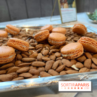 Dalloyau - Macarons de Noël 2023