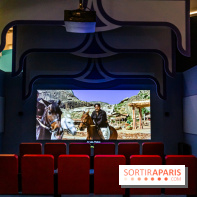 Exposition Bollywood Superstars au Musée du Quai Branly - photos  -  A7C1987