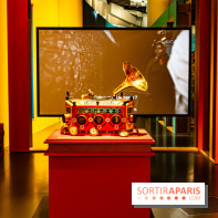 Exposition Bollywood Superstars au Musée du Quai Branly - photos  -  A7C1936