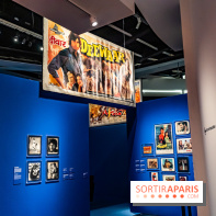 Exposition Bollywood Superstars au Musée du Quai Branly - photos  -  A7C1986