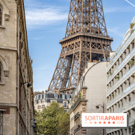 L’immeuble Lavirotte avenue Rapp à Paris, Art Nouveau  -  A7C2093