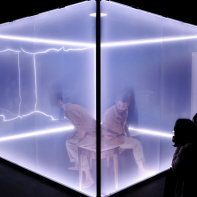 Visit Bruxells - Le Chat de Schrödinger   UP ©Valentin Boucq