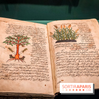 Parfums d'Orient, l'exposition qui enchante nos sens à l'Institut du Monde Arabe - photos