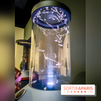 Parfums d'Orient, l'exposition qui enchante nos sens à l'Institut du Monde Arabe - photos