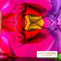 Dior J'adore !, l'exposition gratuite qui célèbre le parfum iconique de la Maison  - image00015