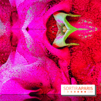 Dior J'adore !, l'exposition gratuite qui célèbre le parfum iconique de la Maison  - image00016