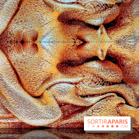 Dior J'adore !, l'exposition gratuite qui célèbre le parfum iconique de la Maison  - image00019