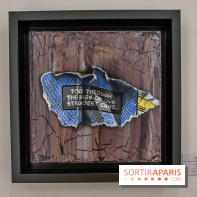 Exposition Les Cages de l'Imaginaire Sandra Chevrier galerie Goldshteyn-Saatort