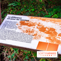 Le sentier des Maréchaux à Senlisse - Vallée de Chevreuse -  A7C2474