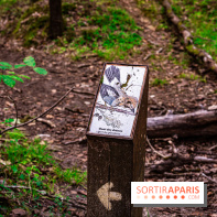 Le sentier des Maréchaux à Senlisse - Vallée de Chevreuse -  A7C2486