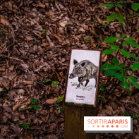 Le sentier des Maréchaux à Senlisse - Vallée de Chevreuse -  A7C2510