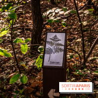 Le sentier des Maréchaux à Senlisse - Vallée de Chevreuse -  panneau faune flore