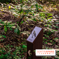 Le sentier des Maréchaux à Senlisse - Vallée de Chevreuse -  A7C2515