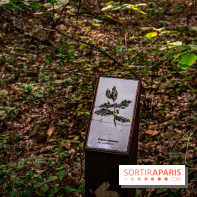 Le sentier des Maréchaux à Senlisse - Vallée de Chevreuse -  panneau faune flore