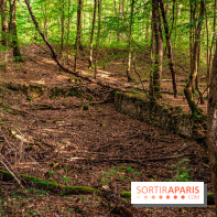 Le sentier des Maréchaux à Senlisse - Vallée de Chevreuse -  ancien abreuvoir