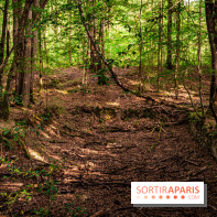 Le sentier des Maréchaux à Senlisse - Vallée de Chevreuse -  ancien abreuvoir