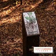 Le sentier des Maréchaux à Senlisse - Vallée de Chevreuse -  A7C2522