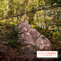 Le sentier des Maréchaux à Senlisse - Vallée de Chevreuse -  bloc