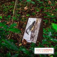 Le sentier des Maréchaux à Senlisse - Vallée de Chevreuse -  A7C2538