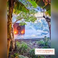 Nuits corticales, l'exposition contemporaine de Loris Gréaud qui transforme le Petit Palais - photos - IMG20231002170706