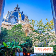 Nuits corticales, l'exposition contemporaine de Loris Gréaud qui transforme le Petit Palais - photos - IMG20231002170802