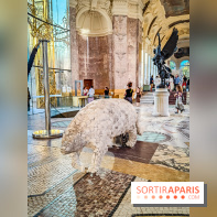 Nuits corticales, l'exposition contemporaine de Loris Gréaud qui transforme le Petit Palais - photos - IMG20231002180646